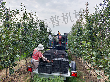 丝瓜视频污片下载