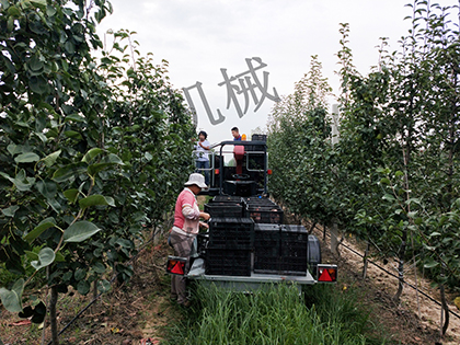 丝瓜视频污片下载