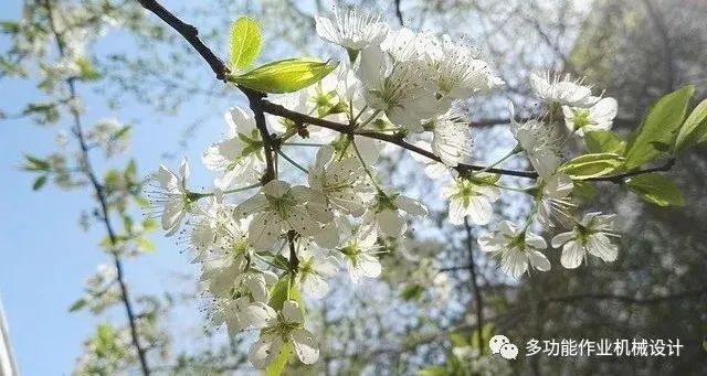 多功能果園作業平台--果園管理的好搭檔！