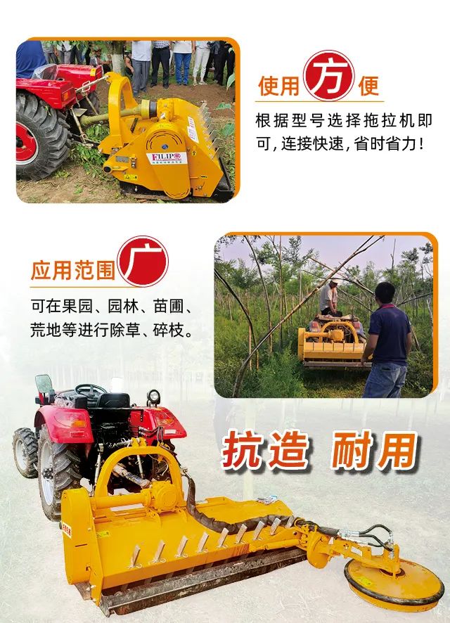 ef1eac02d62a7cef197219df9743fb8.jpg
